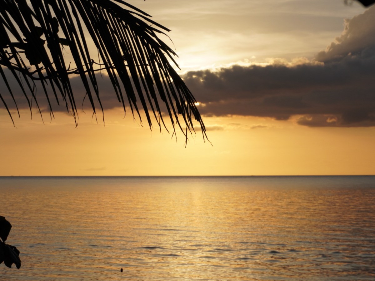 Writing Prompt: Is your life today what you pictured a year&nbsp;ago?