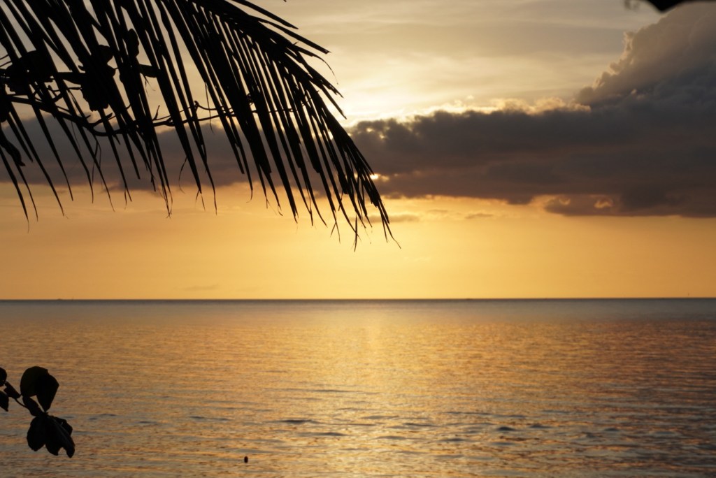 Writing Prompt: Is your life today what you pictured a year&nbsp;ago?